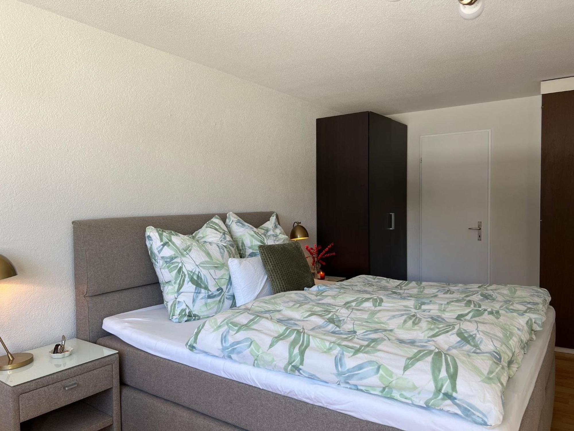New Renovated Apartment In Center Of Davos Ngoại thất bức ảnh